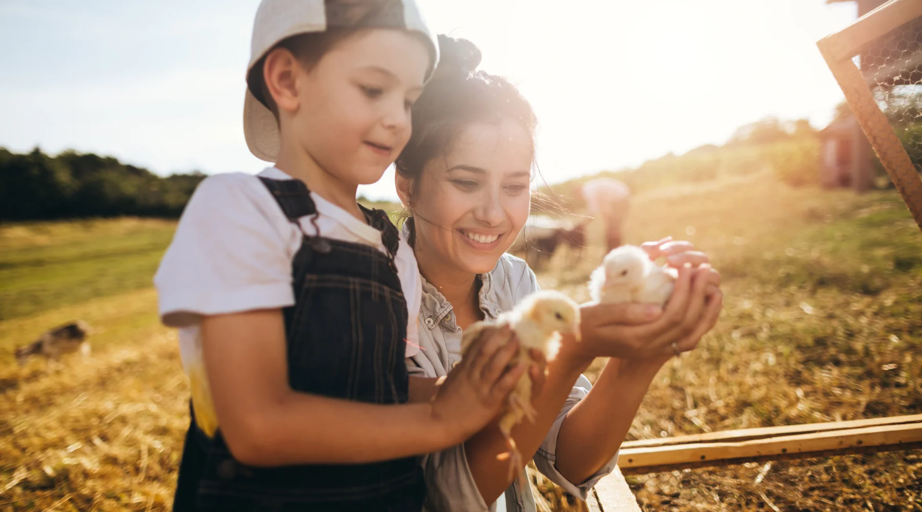 Welcome to Our Store